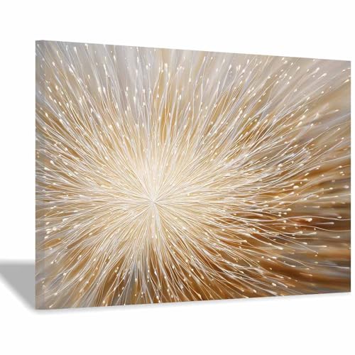 HUYEEI Modern Wandbild Kunstdruck auf Leinwand Bild Abstrakt Radiale Muster Moderne Kunst,Wohnzimmer Deko Schlafzimmer über Bett Room Decor Geschenke(goldene46)-60x80cm Gerahmt von HUYEEI