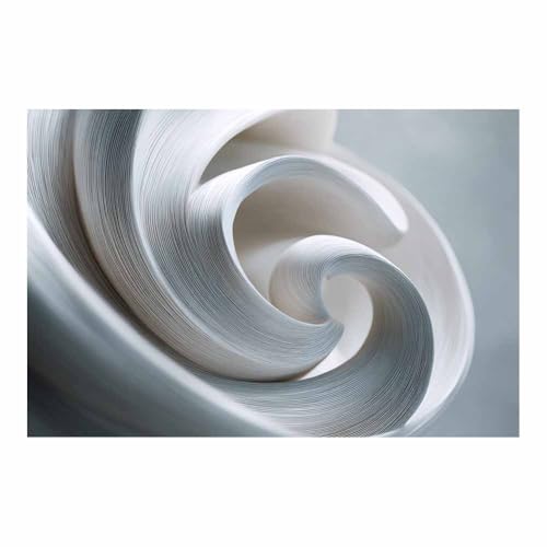 HUYEEI Modern Wandbild Kunstdruck auf Leinwand Bild Abstrakt Spirale Moderne Kunst,Wohnzimmer Deko Schlafzimmer über Bett Room Decor Geschenke(weiß41)-70x100cm Ungerahmt von HUYEEI