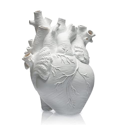 Herz Vase Anatomisches Blumentopf，Dekoration für Wohnzimmer und Schlafzimmer Dekorative Vase (Weiß) von HUYIWEI
