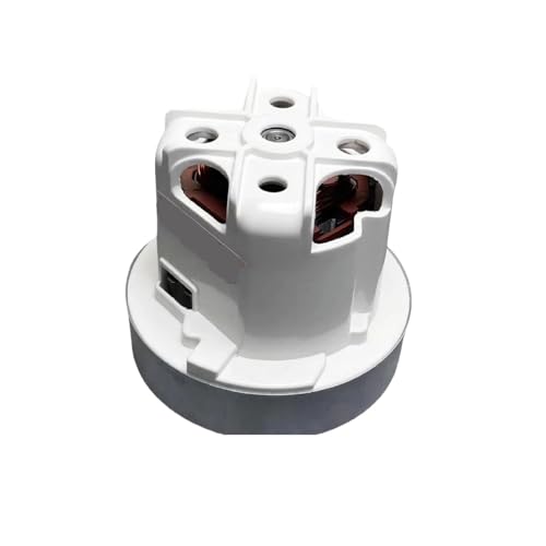 Ersatzmotor For Staubsauger, Kompatibel Mit Philips FC8760 FC8766 FC9911 FC9912 FC5828 FC5830 FC5988, Ersatz For Staubsaugerzubehör(800W) von HVVEPRZPO