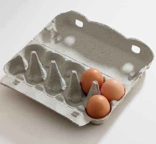 EIERKARTON NEUTRAL (10er Karton) (15 STÜCK) von HWS