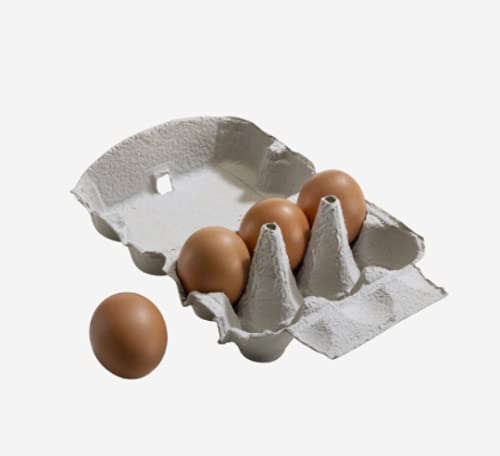 EIERKARTON NEUTRAL (6er Karton) (15 STÜCK) von HWS