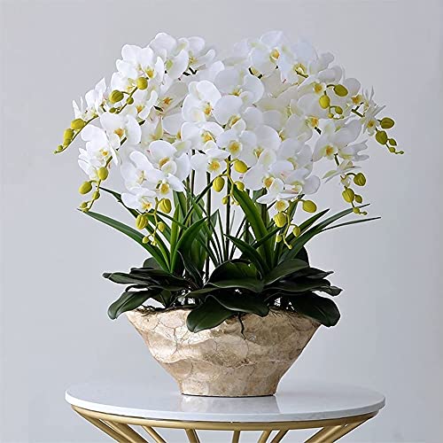 Realistische künstliche Blume, künstliche Orchidee mit Vase, große Kunstblume, Phalaenopsis, künstliche Pflanzen für Zuhause, Wohnzimmer, Arrangements, Dekoration, Weiß, Gelb, 68 cm, Blumenstrauß, von HWSY