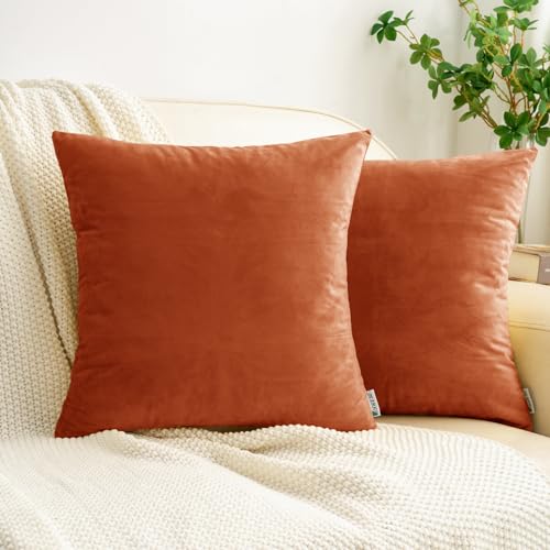 HWY 50 Samt Kissenbezüge Goldorange 40x40 cm 2er Set, weiche waschbare gemütliche dekorative Sofakissenhüllen für Sofa Couch Wohnzimmer Bett von HWY 50
