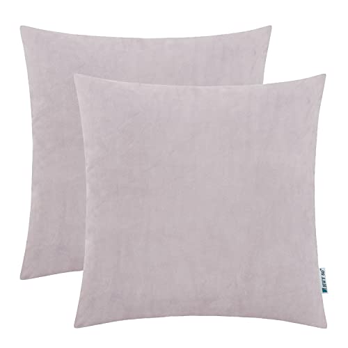 HWY 50 Samt Kissenbezüge Silbergrau 40x40 cm 2er Set, weiche waschbare gemütliche dekorative Sofakissenhüllen für Sofa Couch Wohnzimmer Bett von HWY 50