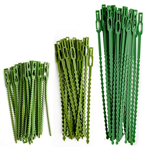 HXC 110 Stück Verstellbarer Pflanzenbinder Kunststoff-Kabelbinder-Set Twist Ties für Grüne Pflanzenstütze Flexible Pflanzenbänder für Gartenbaum-Topfpflanzen von HXC