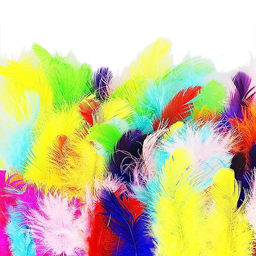 HXMJIED 100 Stück Gänsefedern, bunte Federn, Federn zum Basteln, Bastelfedern, auffällige Federn, für DIY-Dekorationen, Hut, Kostüm HXMJIED 100 Stück Gänsefedern, bunte Federn, Federn zum Basteln, Bastelfedern, auffällige Federn, für DIY-Dekorationen, Hut, Kostüm von HXMJIED