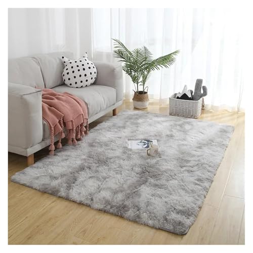 HXPKKX KANGYEBAIHUODIAN Flauschiger großer Teppich, Wohnzimmer, Plüsch, Lounge-Teppich im Schlafzimmer, Bodenmatte, weiche Samtteppiche, passend for Kinderdekoration(LightGrey Gradient,50x80cm) von HXPKKX