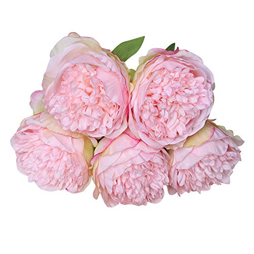 HXSCOO 1 Blumenstrauß 5 Köpfe Künstliche Pfingstrose Große Seidenblume Blatt Hausgarten Büro Hochzeit Gefälschte Blumen Festival Bar Dekoration (Color : Dark pink) von HXSCOO