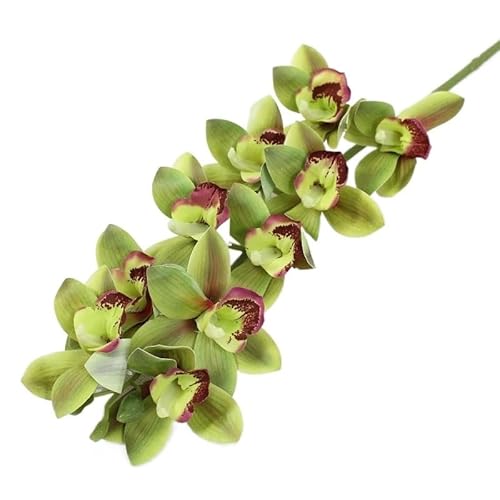 HXSCOO 1 Stängel künstliche Cymbidium-Motten-Orchideen-Schmetterlingsblume for Haus, Zuhause, Hochzeit, Festival, Dekoration (Color : Type A Green) von HXSCOO