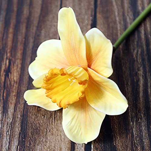 HXSCOO 10 Stück Latex große Narzissenpflanze, künstliche Blume for Heimdekoration, Blumenarrangements, gefälschte Narzissen, Fotografie-Requisiten (Color : Orange) von HXSCOO