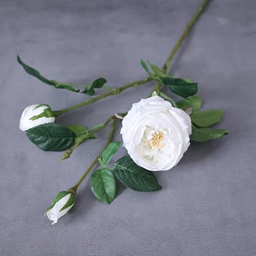 HXSCOO 3 Köpfe 72cm Künstliche feuchtigkeitsspendende Rose Gefälschte Blume Zuhause Wohnzimmer Dekoration Gefälschte Blume Hochzeitsdeko Real Touch (Color : Weiß) von HXSCOO