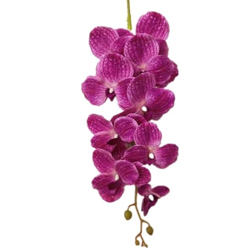 HXSCOO Eine künstliche Vanda-Schmetterlingsorchidee blüht 9 Köpfe Real Touch Phalaenopsis for Hochzeitsmittelstücke Zuhause Blumendekoration (Color : Lila) von HXSCOO