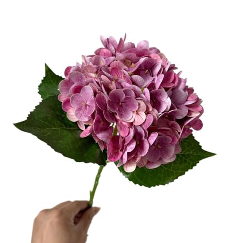 HXSCOO Große Hortensien-Simulationsblumendekoration – feuchtigkeitsspendende künstliche Blumen for Hochzeiten und Heimdekoration(Beanpastecolor) von HXSCOO