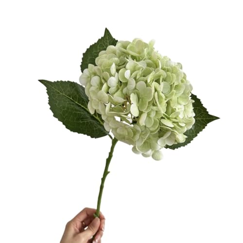 HXSCOO Große Hortensien-Simulationsblumendekoration – feuchtigkeitsspendende künstliche Blumen for Hochzeiten und Heimdekoration(LightGreen) von HXSCOO