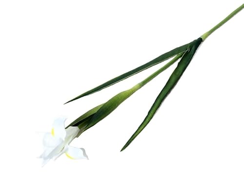 HXSCOO Künstliche Iris-Blume, Hochzeitsdekoration, Brautstrauß, Kunstblume, Hausgarten, Büro, Party-Dekoration (Color : Milky White) von HXSCOO