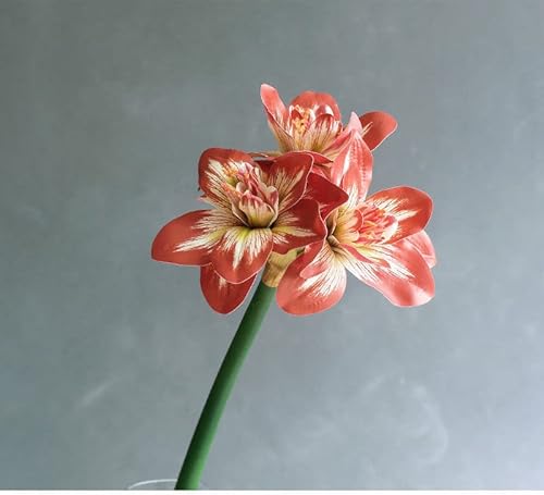 HXSCOO Real Touch Künstliche Amaryllis-Blume Fleurs Artificielles Tischhochzeitsdekoration PU Kunstblumen Deko Mariage Flores (Color : E) von HXSCOO