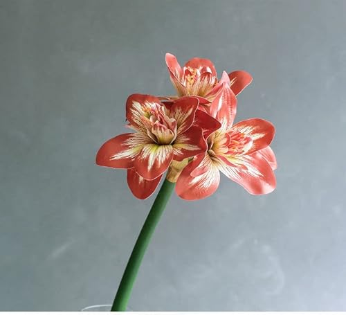 HXSCOO Real Touch Künstliche Amaryllis-Blume Fleurs Artificielles Tischhochzeitsdekoration PU Kunstblumen Deko Mariage Flores (Color : E) von HXSCOO