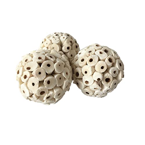 3 GRAF Hamster Chew Toy Sola Futterbällchen 2.36 Zoll Durchmesser Pflanzenball Weiche Zerkleinerte Vogelspielzeug Für Conure Peony Ball Vogelspielzeug von HYBEW