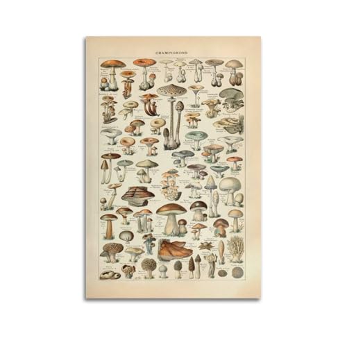 HYEDHGD Poster mit klassischem Gemälde, Adolphe Millot Pilze, Vintage-Kunst, Raumdekoration, ästhetisch für Schlafzimmer, Wohnzimmer, Wände, ästhetisches Poster, 50 x 75 cm, ungerahmter Stil HYEDHGD Poster mit klassischem Gemälde, Adolphe Millot Pilze, Vintage-Kunst, Raumdekoration, ästhetisch für Schlafzimmer, Wohnzimmer, Wände, ästhetisches Poster, 50 x 75 cm, ungerahmter Stil von HYEDHGD