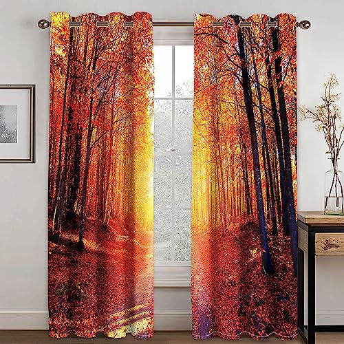 Herbst natürliche Waldlandschaft Erwachsene 2 Panels Verdunkelungsvorhänge für Wohnzimmer Vorhang Schattierung Fenster Vorhang Zubehör WxH/2x100x150cm Vorhang Blickdicht von HYFBH