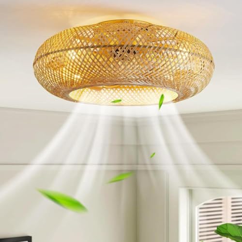 HYKISS LED Fan Deckenleuchte Moderne Nordic Dimmable Deckenventilator Ultradünn Unsichtbar 32W Deckenventilator Mit Beleuchtung Ultra-Leise Schlafzimmer Wohnzimmer Lüfter Fan Deckenlampe(Ø55cm),Braun von HYKISS