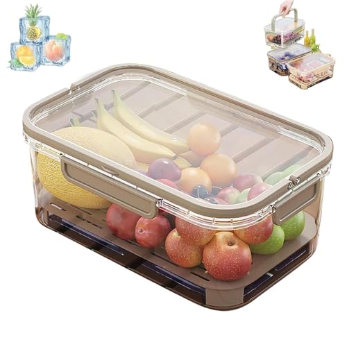HYKJSHED Eisbox for den Außenbereich, tragbarer Kühler for Frischhalten, transparenter Eisbehälter mit Abflussteiler, Kühler for Snackboxen, for Camping-Picknicks(Coffee) von HYKJSHED