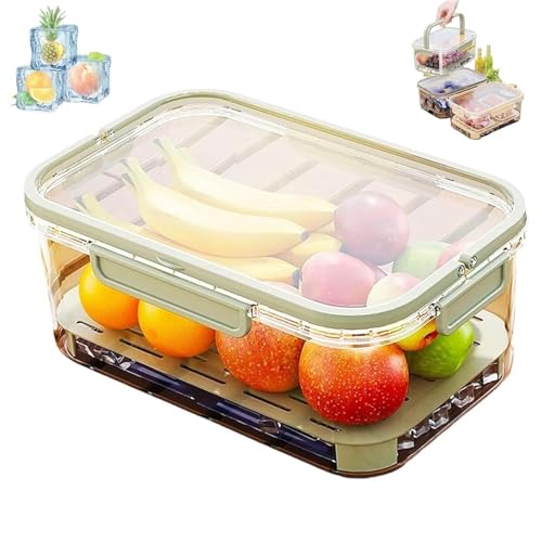 HYKJSHED Eisbox for den Außenbereich, tragbarer Kühler for Frischhalten, transparenter Eisbehälter mit Abflussteiler, Kühler for Snackboxen, for Camping-Picknicks(Green) von HYKJSHED