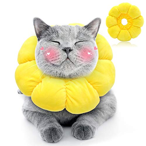 HYLYUN Halskrause Katze, Einstellbarer Halskrause Katze Halsband, Weich Sonnenblume Katze Wiederherstellung Halsband Kragen Cone für Katzen Kleiner Hunde Nach Operation und Verletzungen von HYLYUN