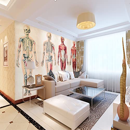 Fototapete Menschliches Skelett wandmalerei 3d Vlies Tapeten Wandtapete Moderne Wanddeko Design Wand Dekoration Wohnzimmer Schlafzimmer Büro 250cm×175cm(Breite x Höhe) von HYMZHL
