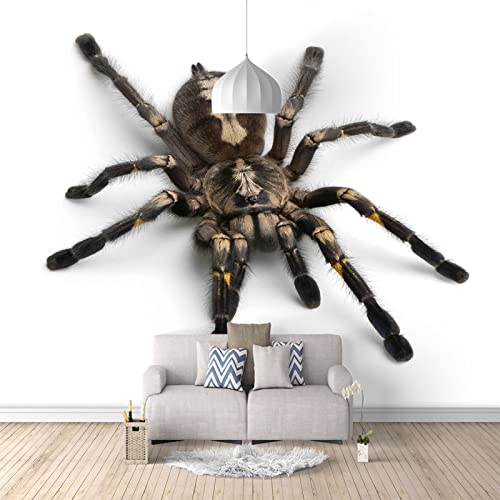 Fototapete Spinne wandmalerei 3d Vlies Tapeten Wandtapete Moderne Wanddeko Design Wand Dekoration Wohnzimmer Schlafzimmer Büro 150cm×105cm(Breite x Höhe) von HYMZHL