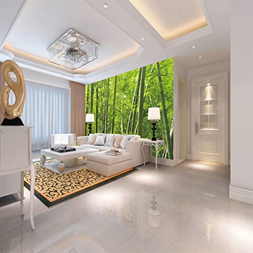 Fototapeten Bambus 3D Moderne Vlies Wandbilder Tapeten Wandtapete Wandmalerei Flur Wandtattoo Dekoration 150cm×105cm(Breite x Höhe) von HYMZHL