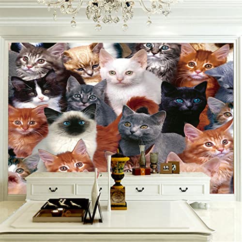 Tapeten Wandbild Katzen 3D Wandtapete Fototapete Tapete Für Baby Kinder Kinderzimmer Wandmalereien 430cm×300cm(Breite x Höhe) von HYMZHL