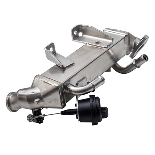 AGR Ventil Für Espace Mk4 Für Laguna Mk3 Für Master Mk3 2.0, 2,3 DCi 8200910446 93198888 EGR-Ventilkühler von HYQHYX