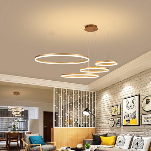 HYQJUNE Modern LED Ring Pendelleuchte Dimmbar Wohnzimmerlamp Aluminium Kronleuchter Mit Fernbedienung Schlafzimmer Hängeleuchte Salon Esszimmer Deckenleuchte Metall Acryl Hängelampe,Gold,40+60+80+100 von HYQJUNE