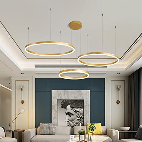 HYQJUNE Modern LED Ring Pendelleuchte Dimmbar Wohnzimmerlamp Aluminium Kronleuchter Mit Fernbedienung Schlafzimmer Hängeleuchte Salon Esszimmer Deckenleuchte Metall Acryl Hängelampe,Gold,60+80+100 von HYQJUNE