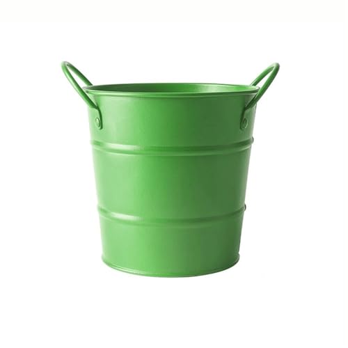 HYQOUKLR Doppelwandiger Eiskübel, Eiskübel, Mini-Aufbewahrungseimer, Desktop-Aufbewahrungsbox, 600 ml(Green) von HYQOUKLR