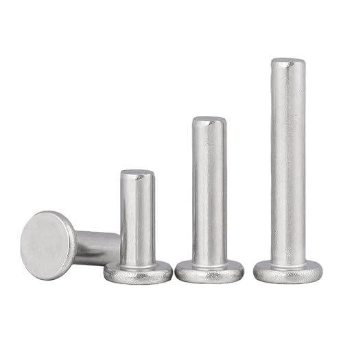 Hochbelastbare, langlebige Nieten mit Vollkopf, 5/10/50 Stück M2 bis M8 GB109 Aluminium Flache dünne Waferkopfstanze Selbststopfende Vollnieten(25mm,50pcs M3) von HYQOUKLR
