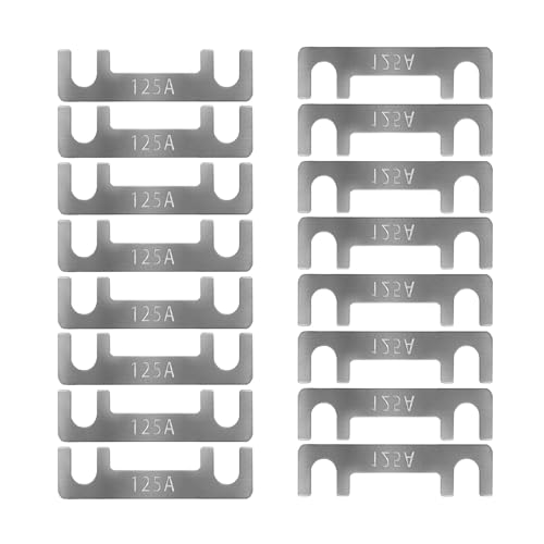 Streifensicherungen Blattsicherung Flachsicherungsstreifen 16 Stk Auto Sicherung 30A 40A 50A 60A 70A 80A 100A 110A 125A 150A Maximale Spannung bis 32V, für PKW Wohnmobil (125A) von HYRYC