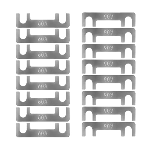 Streifensicherungen Blattsicherung Flachsicherungsstreifen 16 Stk Auto Sicherung 30A 40A 50A 60A 70A 80A 100A 110A 125A 150A Maximale Spannung bis 32V, für PKW Wohnmobil (60A) von HYRYC