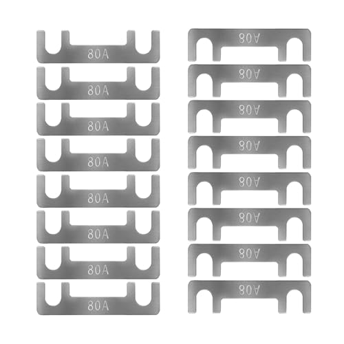 Streifensicherungen Blattsicherung Flachsicherungsstreifen 16 Stk Auto Sicherung 30A 40A 50A 60A 70A 80A 100A 110A 125A 150A Maximale Spannung bis 32V, für PKW Wohnmobil (80A) von HYRYC