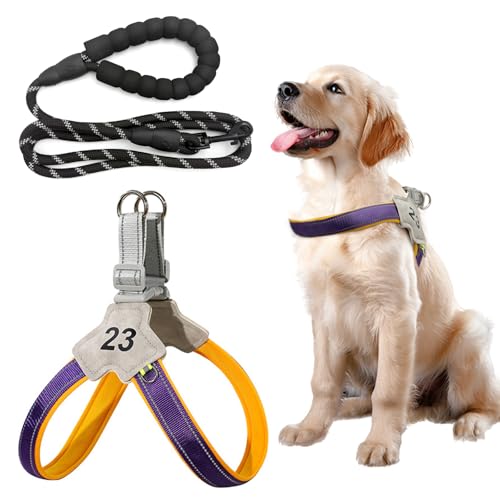 HYSHLC Hundegeschirr mit Leine, Verstellbare Geschirr Hund, Anti Zug Hundegeschirr mit Griff, Weich Gepolsterte Reflektierende Brustgeschirr Leuchtend für Haustiere Brustumfang 56-66cm(Lila L) von HYSHLC