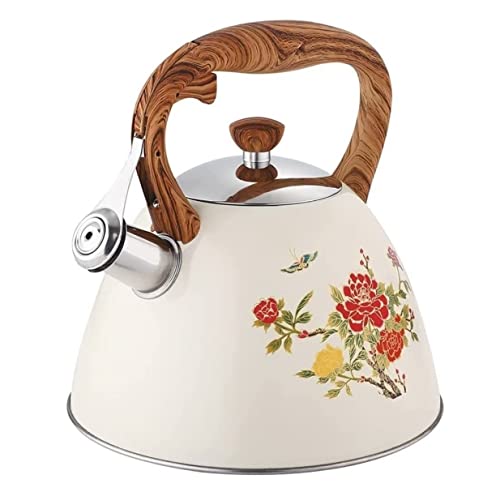 Herd Top Kessel Teekessel Farbveränderte Blumenpfeife Wasserkessel 3L Teekessel-Induktion Kochherd Gasherd 304 Edelstahl Pfeife Kessel-Teekanne für Gasherd (22 * 23 cm) YYuan von HYSJDMNC