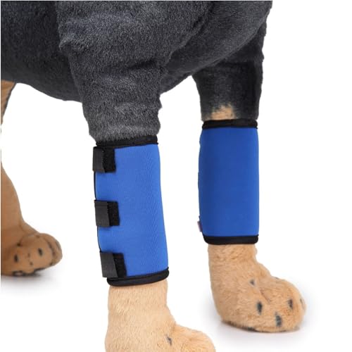 HYSMF Leg Brace Hund Vorderbein Kompression Brace Wrap Sleeve, schützt Wunden, Stützen, heilt, und verhindert Verletzungen und Verstauchungen, hilft bei Verlust der Stabilität durch Arthritis,Blue-M HYSMF Leg Brace Hund Vorderbein Kompression Brace Wrap Sleeve, schützt Wunden, Stützen, heilt, und verhindert Verletzungen und Verstauchungen, hilft bei Verlust der Stabilität durch Arthritis,Blue-M von HYSMF