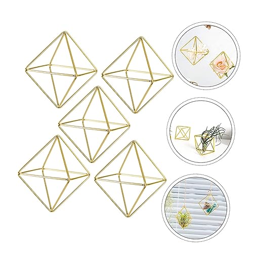 HYTROVE Geometrischer Luftpflanzenständer 5 Stücke Metall Halter für Luftpflanzen Kleiner Pflanzen Display Ständer Dekoration für Zuhause für Luftfarn und Tillandsien von HYTROVE