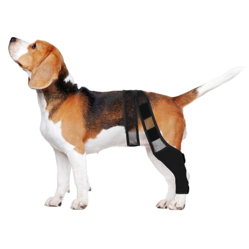 HYTROVE Hundebeinstütze aus Neopren für Vorder Hinterbeine Elastischer und Atmungsaktiver Beinschutz für Verletzte Hunde Fördert die Genesung und Verbessert die Durchblutung Schwarz XL von HYTROVE