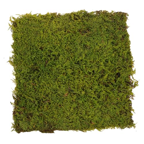 HYTROVE Künstlicher Lebensnaher DIY Kunstrasen für Sandtisch Modellbau und Gartenaccessoires Langlebiges Realistisches Landschaftsmaterial Moos von HYTROVE