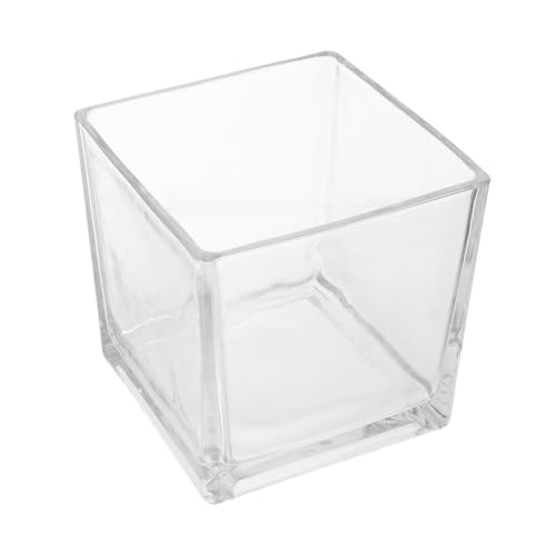 HYTROVE Quadratische Glasvase Klare Würfelvase für Hydrokultur Moderne Blumenvase Dekoratives Pflanzgefäß für Tischdeko Robustes Glasmaterial für Zuhause und Büro HYTROVE Quadratische Glasvase Klare Würfelvase für Hydrokultur Moderne Blumenvase Dekoratives Pflanzgefäß für Tischdeko Robustes Glasmaterial für Zuhause und Büro von HYTROVE