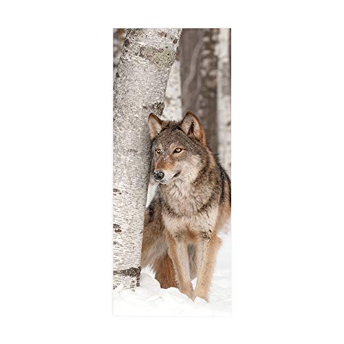 HYZSM Türtapete Selbstklebend 3D PVC wasserdichte Abnehmbare,Türaufkleber für Tür Deko Wohnzimmer/Schlafzimmer/Küche/Bad, Türposter-Wolf 77x200CM von HYZSM