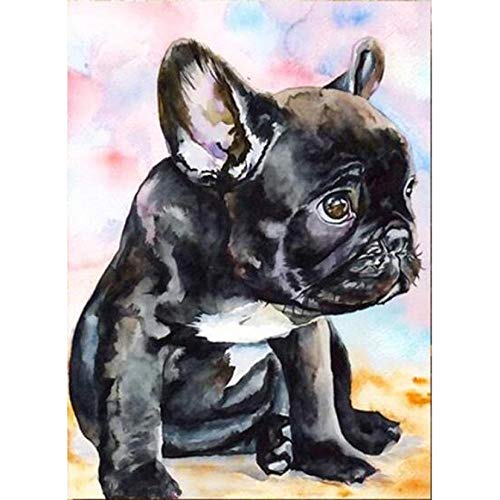 HZDXT 5D Diamond Painting Kits, Französische Bulldogge Kristallstickerei, Für Familiendekoration Tier Strass Diamant Kreuzstich 40X50Cm von HZDXT